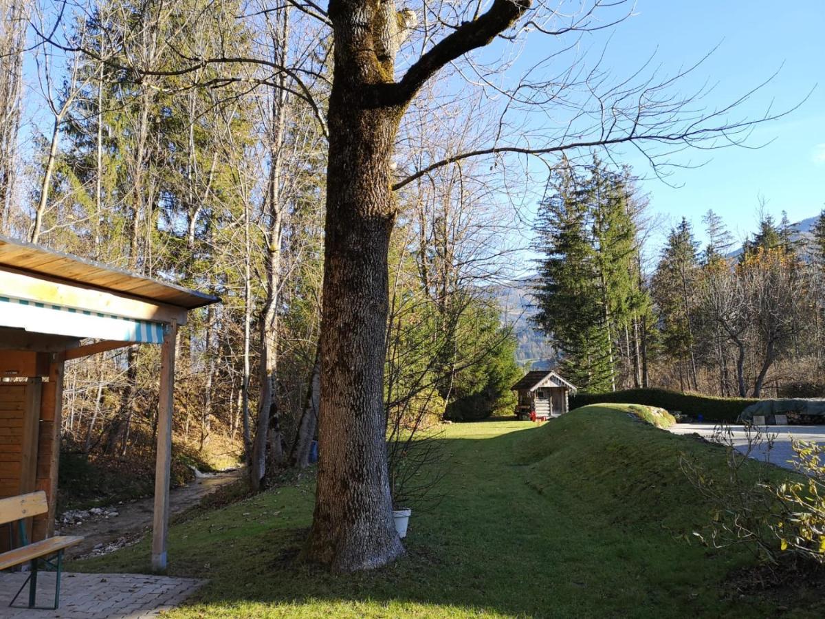 Etschbacher Haus im Ennstal Eksteriør billede